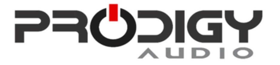 Logo of Prodigy Audio featuring bold typography and a circular design element.